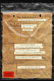 The Indestructibles